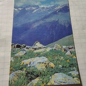 Календарик СРСР 1981