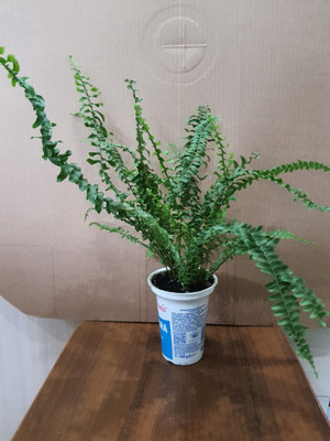 Фото №1 class=