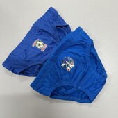 149. Труси / сліпи для хлопчика 2 шт 4/5, 110