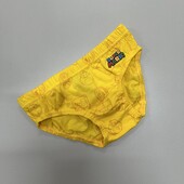 202. Труси / сліпи для хлопчика 4/5, 110