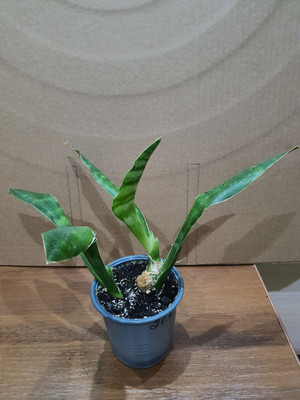 Фото №1 class=