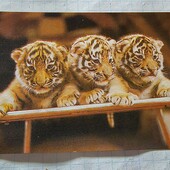 Календарик СРСР 1986