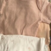 Бодіки звичайні та в рубчик