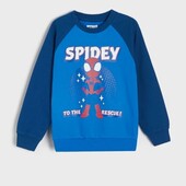 Світшот.синсей.розмір 116, 122,128