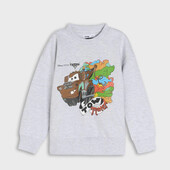 Світшот з начосом.один на вибір.розмір 128 sinsay