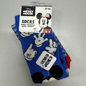 520. Шкарпетки 2 пари 27-30