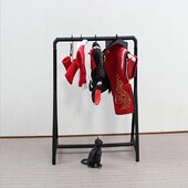 Міні кроншейн+ 6 вішаків для одягу для ляльок