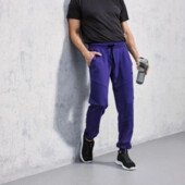 Спортивні штани чоловічі Crivit (M 48\50)