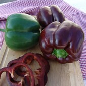 Moravo Seed ( Чехія). Перець Інгрід. Крупноплідний, солодкий.