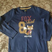 Гарний регланчик Lupilu на 4-6 р. (110/116)