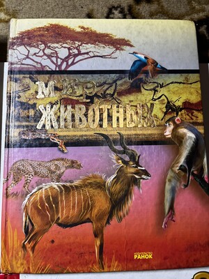 Фото №1 class=