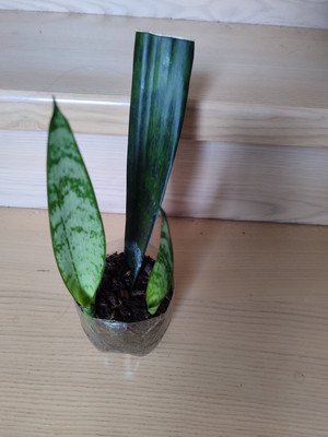 Фото №1 class=