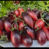 Томат Сливка Гурман, 15 насінин