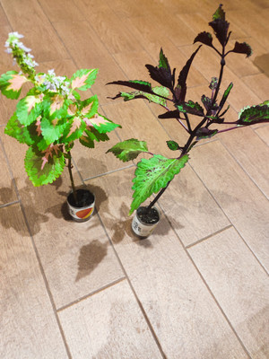 Фото №1 class=