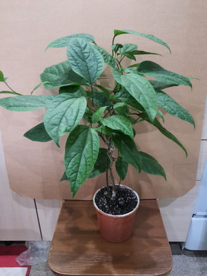 Фото №1 class=