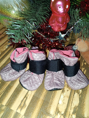 Фото №1 class=