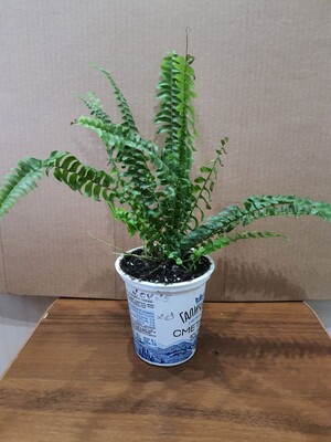 Фото №1 class=