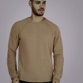 Мужской лонгслив Hallys