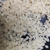 Рис круглий крупа лот 2.550 кг