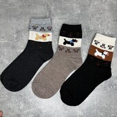 36-41 одним лотом