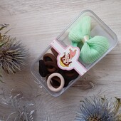 Набір гумок в футлярі