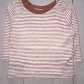 Реглан Primark, 3-6М / 68см