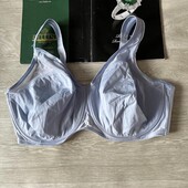 Голубой бюстгальтер большая чашка