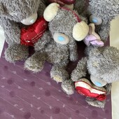 Teddy в лоті 5 шт