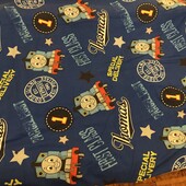 Підковдра Паравозик thomas, підодіяльник на кнопках, пододеяльник, 200*130, 100% хлопок, в ідеалі