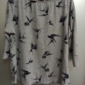 Реглан трикотаж