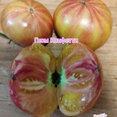 Томат Гном Конфетті