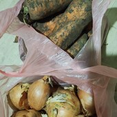 Разом цибуля 3 кг + морква 4 кг