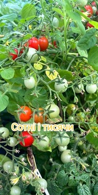 Фото №1 class=