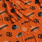 Тепленький флісовий пледик у відмінному стані 155*180