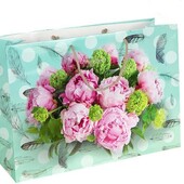 Пакет кольоровий великий горизонтальный 24х35х12 см