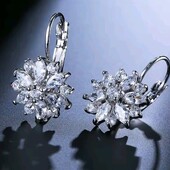 Сережки крижана квітка, циркони