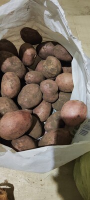 Фото №1 class=