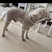 Дощовик на собачку