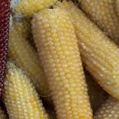 кукуруза для попкорна 500грамм