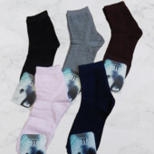 Шкарпетки 6 пар асорті кольорів