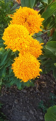 Фото №1 class=