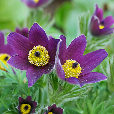 Фото №1 class=