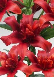 Фото №1 class=