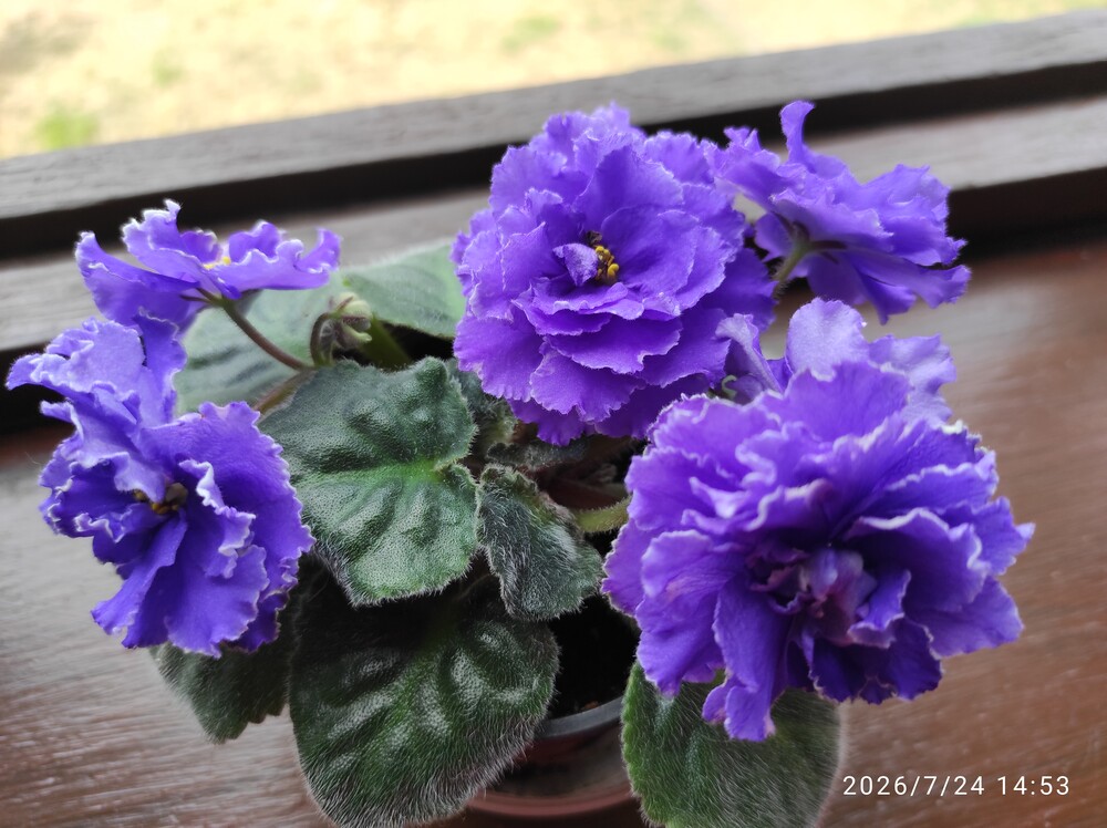 Фото №2