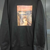 Нова толстовка з начісом Shein p. 2XL