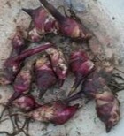 Фото №2