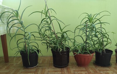 Фото №2