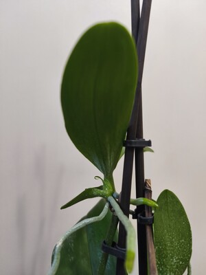 Фото №2