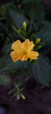 Фото №2