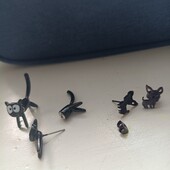 Сережки гвоздики